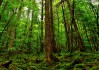 世界短跑社区导师扶持计划第71批成果案例集上线，世界短跑选手排名