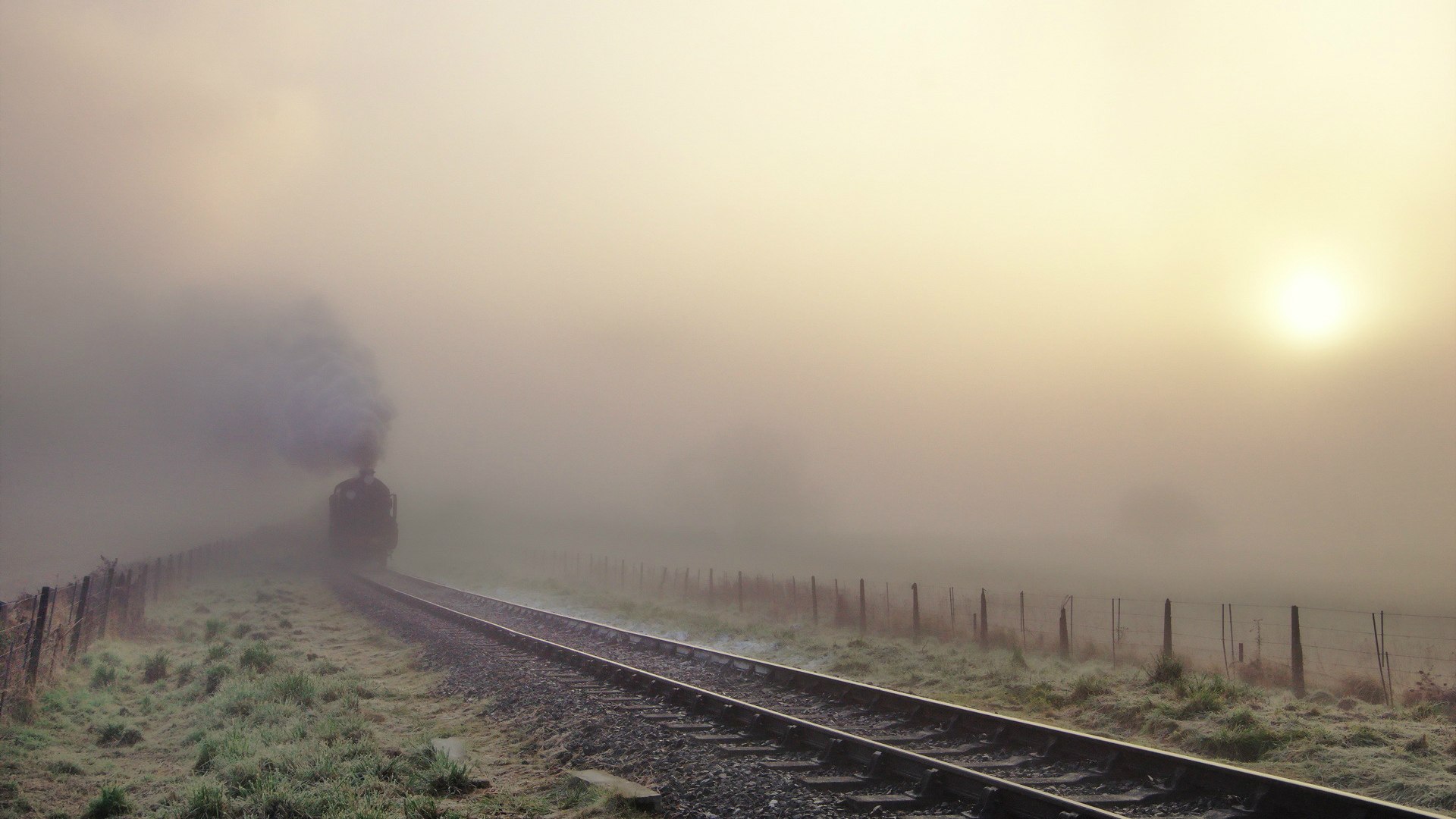 世界田径金标半马锦标赛:1小时大关再迎冲击,半马排名100名